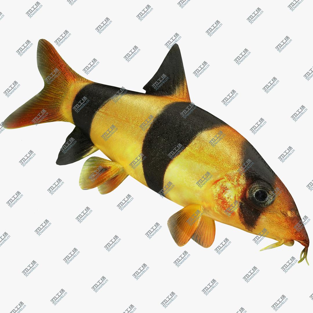 images/goods_img/2021040235/Underwater Animals Big Collection 13 in 1 model/5.jpg